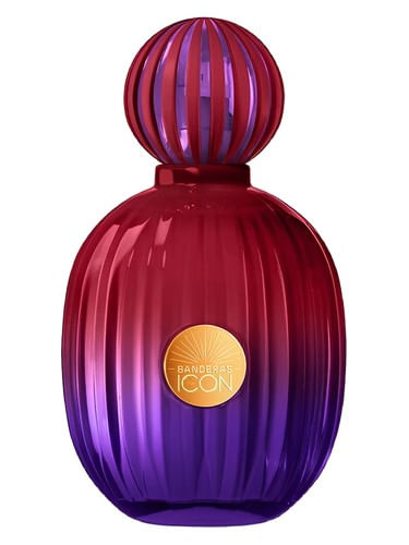 Antonio Banderas The Icon Elixir